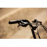 E-BIKE BUGGY Matt Grey 20" BRERA
